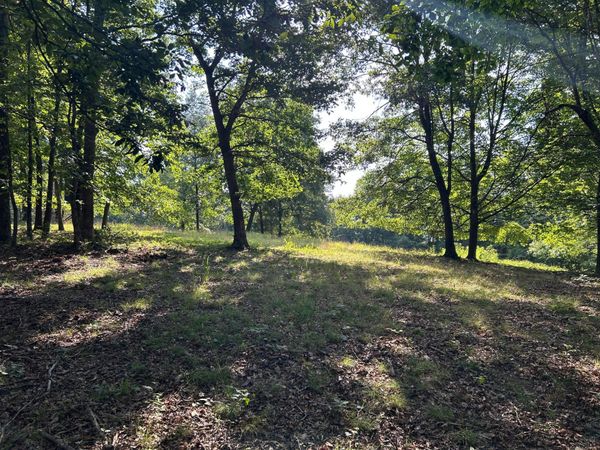 6741 Big Spruce Little Bear Road , Otway, OH 45657