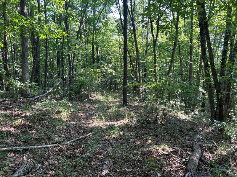 6741 Big Spruce Little Bear Road , Otway, OH 45657 Photo 11