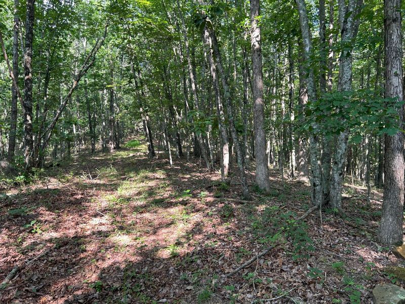 6741 Big Spruce Little Bear Road , Otway, OH 45657 Photo 14