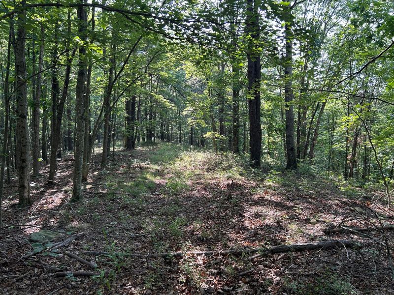 6741 Big Spruce Little Bear Road , Otway, OH 45657 Photo 16