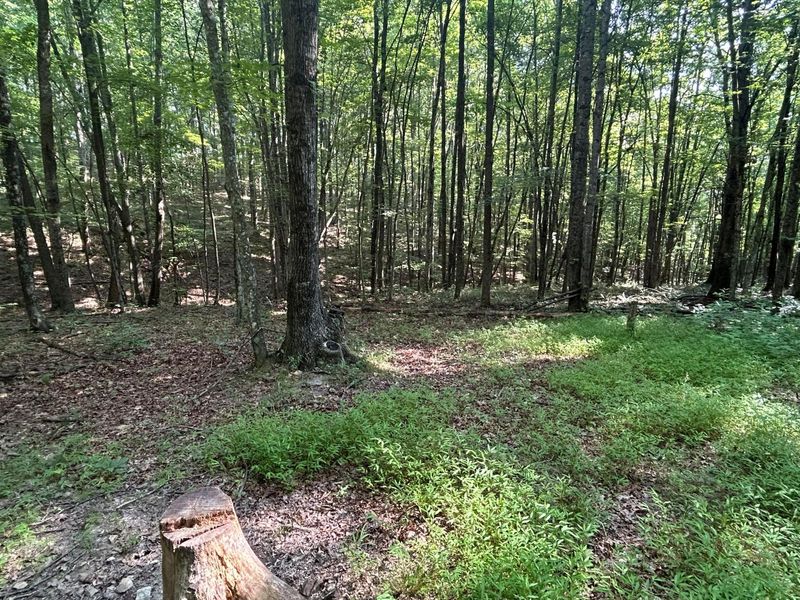 6741 Big Spruce Little Bear Road , Otway, OH 45657 Photo 20