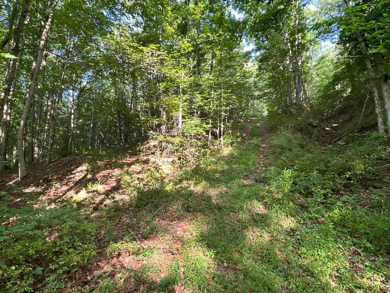 6741 Big Spruce Little Bear Road , Otway, OH 45657 Photo 30