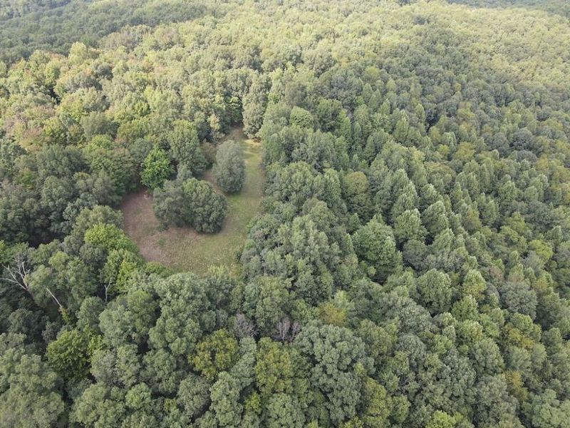 6741 Big Spruce Little Bear Road , Otway, OH 45657 Photo 34