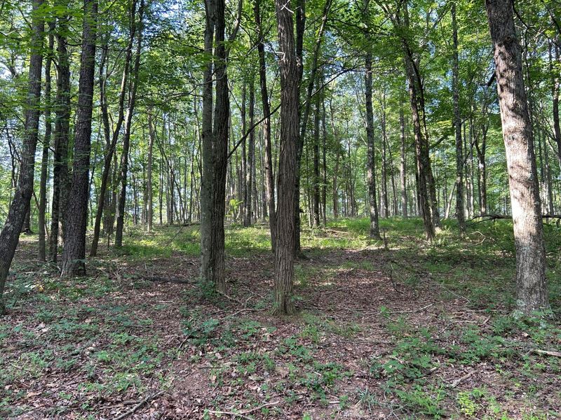 6741 Big Spruce Little Bear Road , Otway, OH 45657 Photo 4
