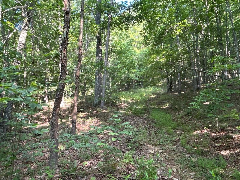 6741 Big Spruce Little Bear Road , Otway, OH 45657 Photo 7