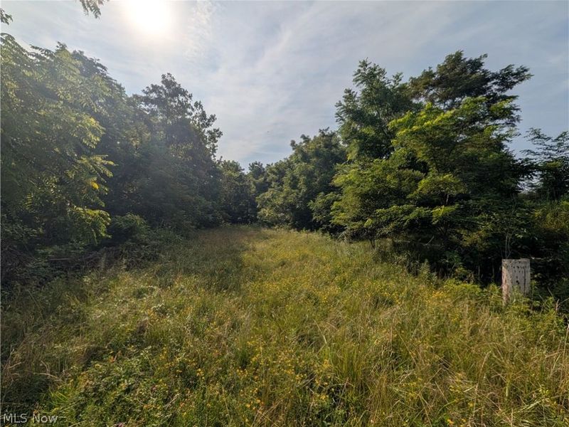 State Route 556 , Clarington, OH 43915 Photo 12