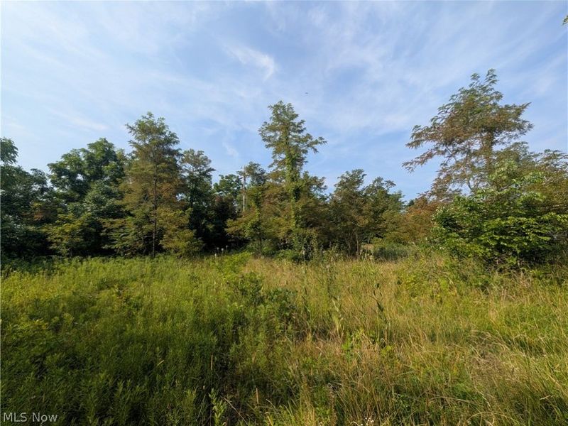 State Route 556 , Clarington, OH 43915 Photo 14