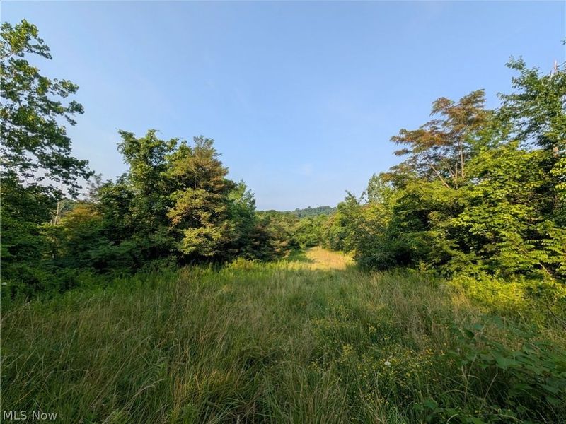 State Route 556 , Clarington, OH 43915 Photo 17
