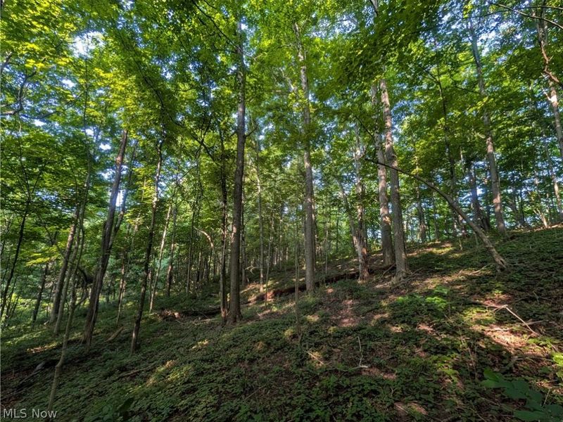 State Route 556 , Clarington, OH 43915 Photo 19