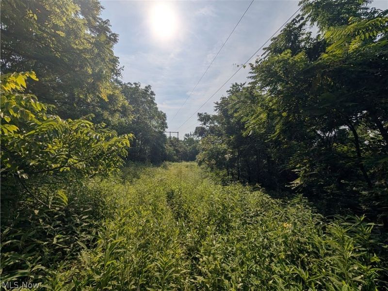 State Route 556 , Clarington, OH 43915 Photo 28