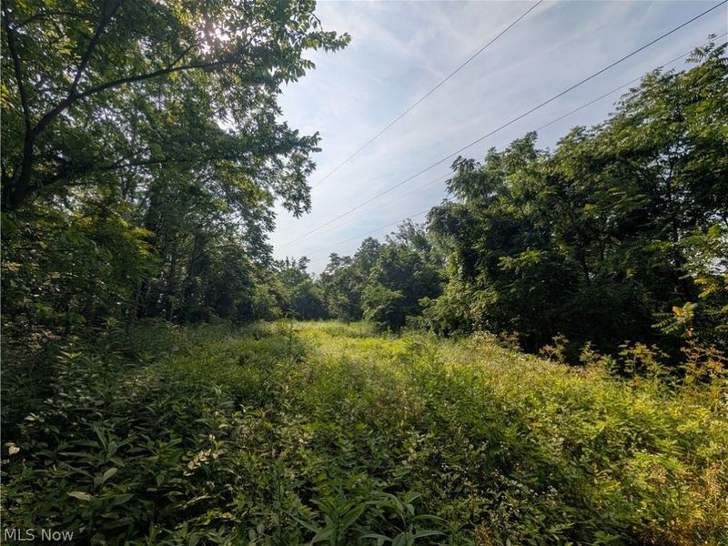 State Route 556 , Clarington, OH 43915 Photo 29