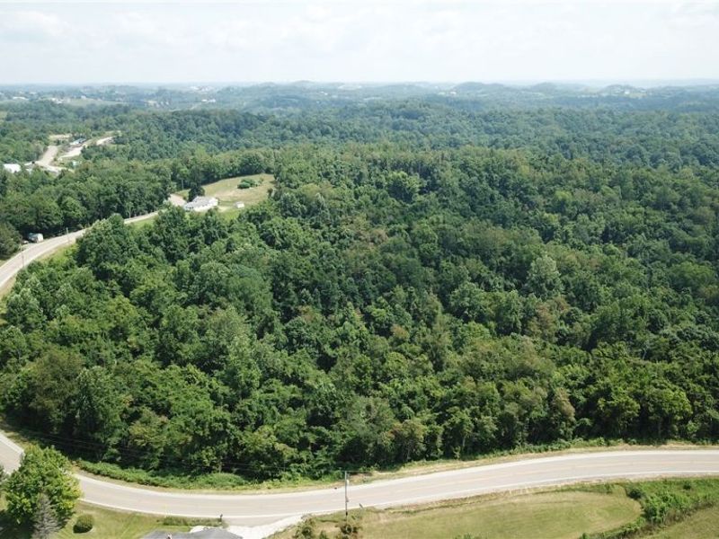 State Route 556 , Clarington, OH 43915 Photo 4