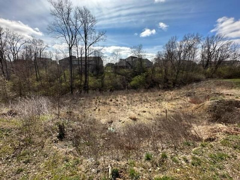 811 Fawn Drive, Erlanger, KY 41018 Photo 7