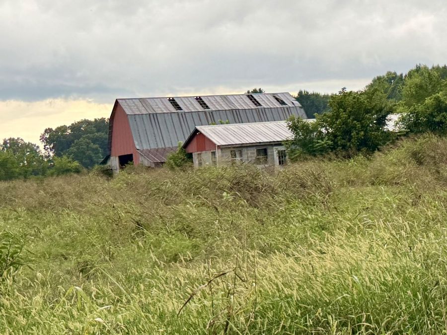 Property Image 6