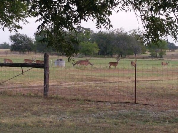 10905 S. FM 1915 FM 1915 Highway, Buckholts, TX 76518