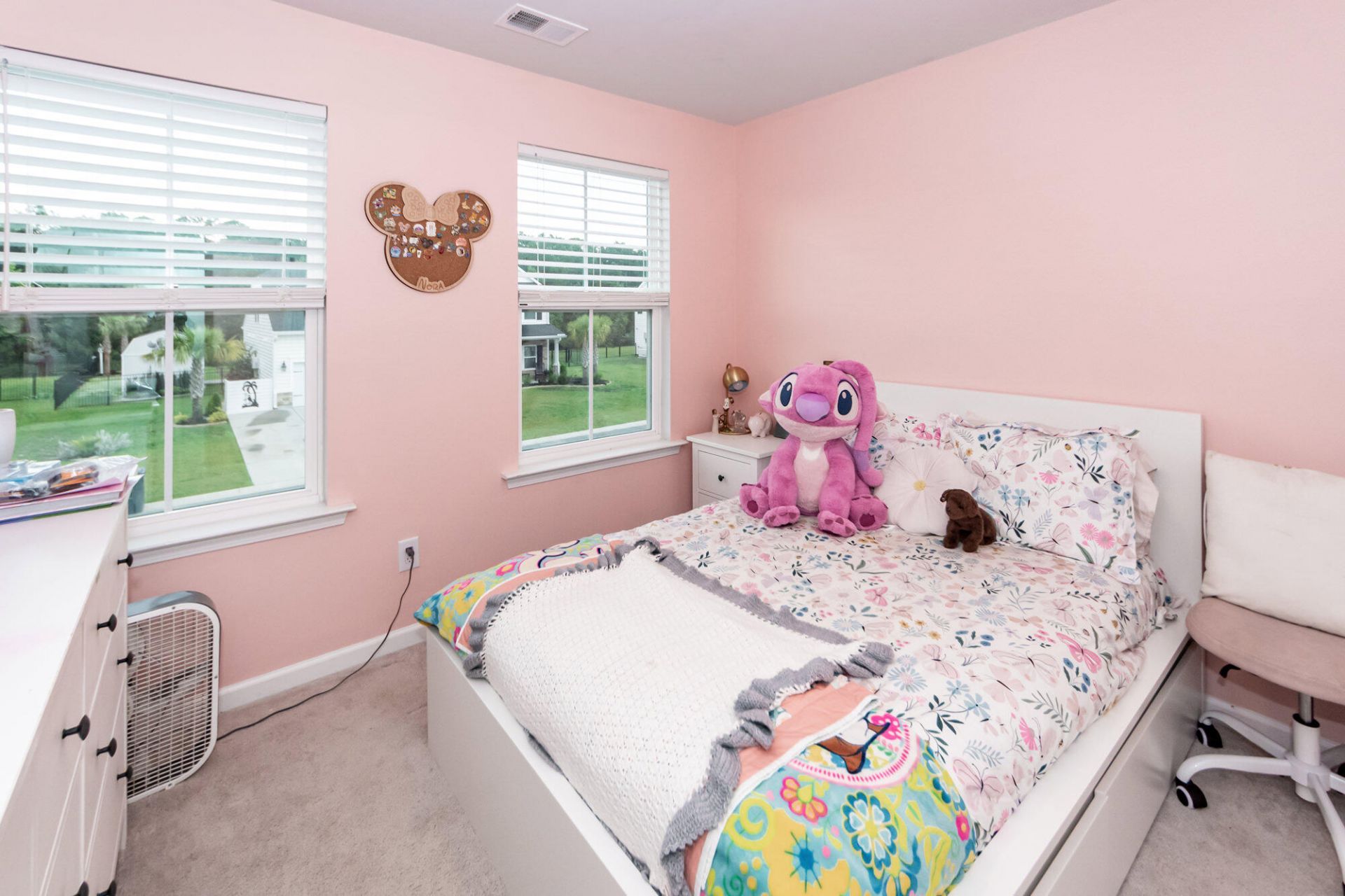6976 Pumpkinseed Drive Photo 27