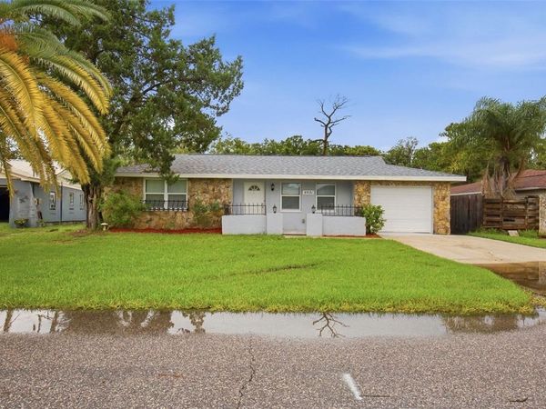 8531 HORIZON LANE , HUDSON, FL 34667