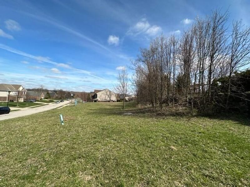 3911 Deertrail Drive, Erlanger, KY 41018 Photo 6