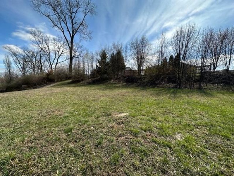 3911 Deertrail Drive, Erlanger, KY 41018 Photo 8