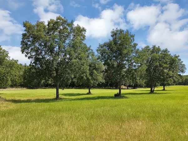 415 Southwood Street, Bowie, TX 76230