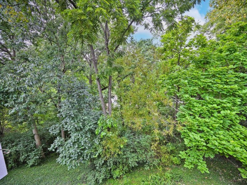 681 Totten Way, Cincinnati, OH 45226 Photo 58