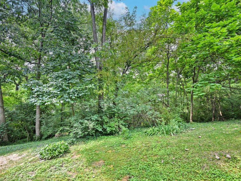 681 Totten Way, Cincinnati, OH 45226 Photo 59