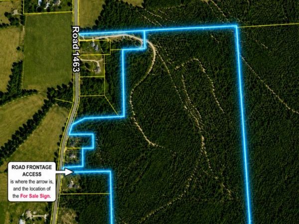 County Road 1463, Nettleton, MS 38858