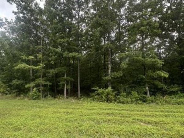 198 Kyuga Drive, South Pittsburg, TN 37380
