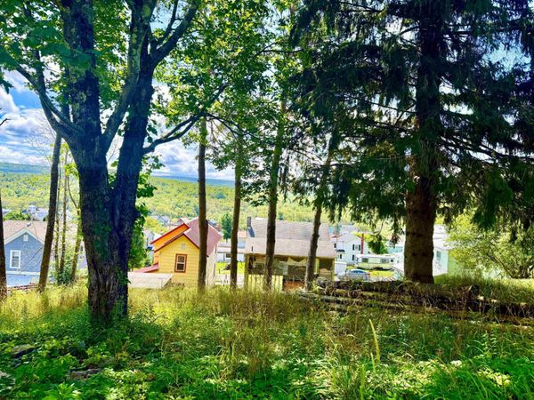 Lot 7 Groundhog Alley, Davis, WV 26260