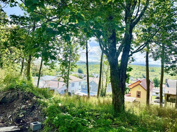 Lot 5 Groundhog Alley, Davis, WV 26260