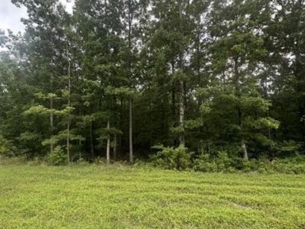 198 Kyuga Drive , Unit 198, South Pittsburg, TN 37380