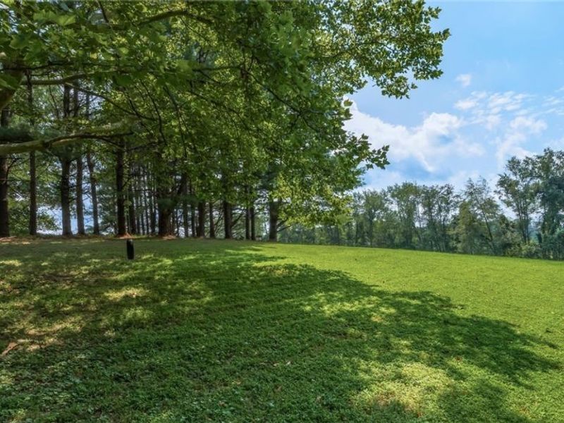 4280 Red Bud Road, Dresden, OH 43821 Photo 38