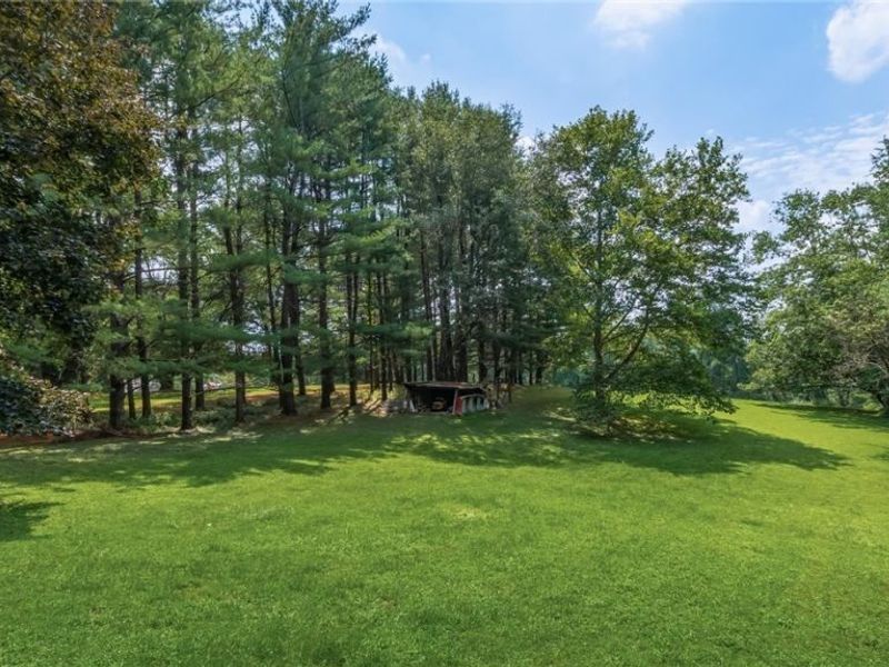 4280 Red Bud Road, Dresden, OH 43821 Photo 41