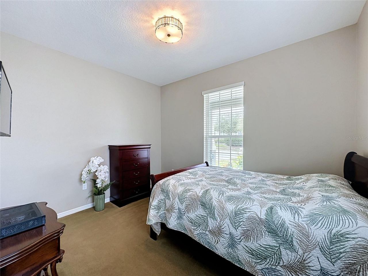 552 Narrow View Lane, Groveland, FL 34736 Photo