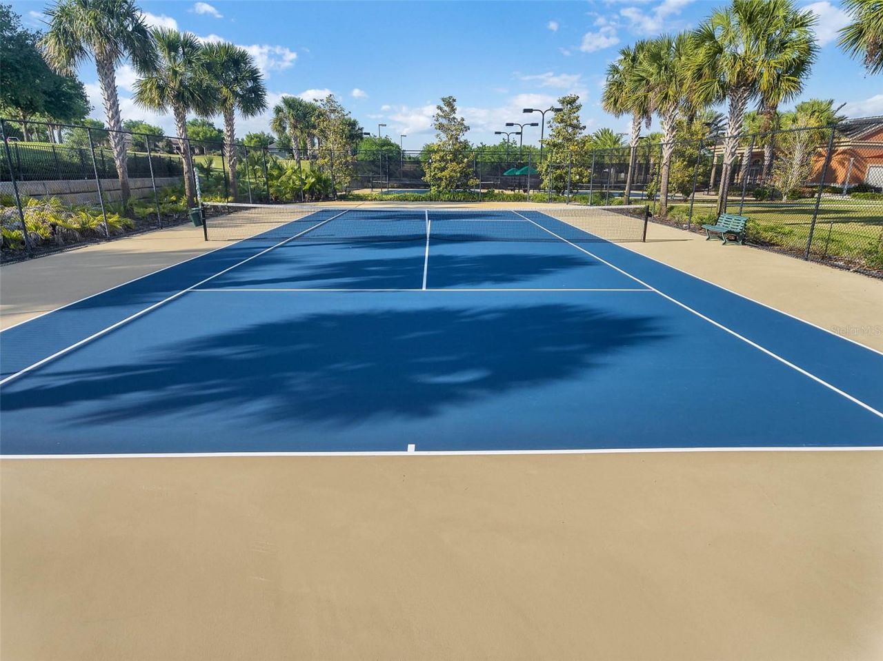 552 Narrow View Lane, Groveland, FL 34736 Photo