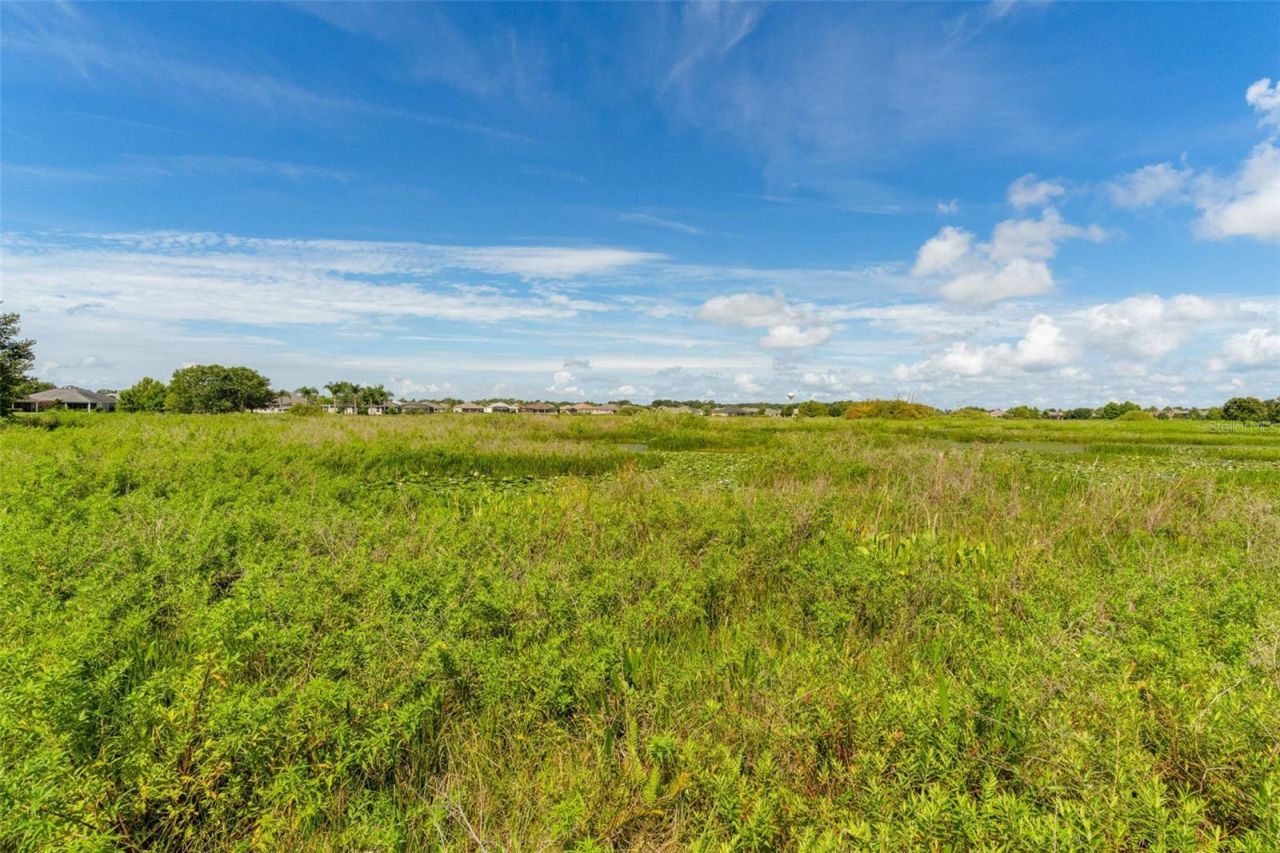 3676 Vineland Avenue, The Villages, FL 32163 Photo