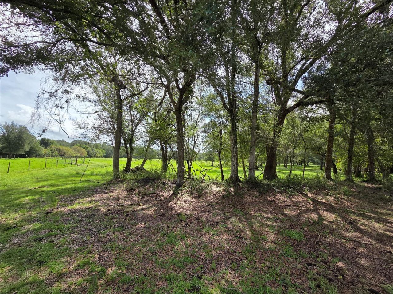 Cr 614a, Bushnell, FL 33513 Photo