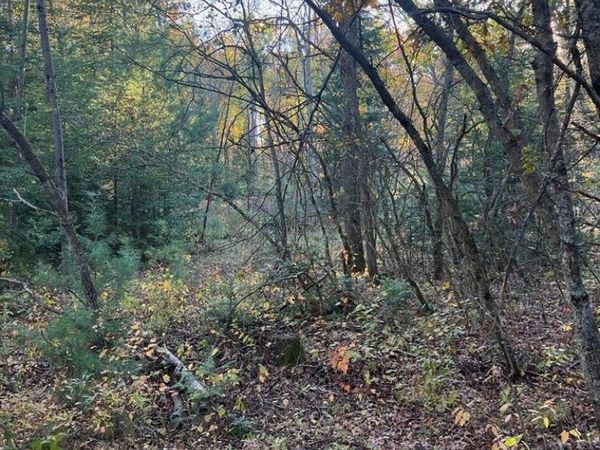 V/L 20 AC Lansing Road, Roscommon, MI 48653