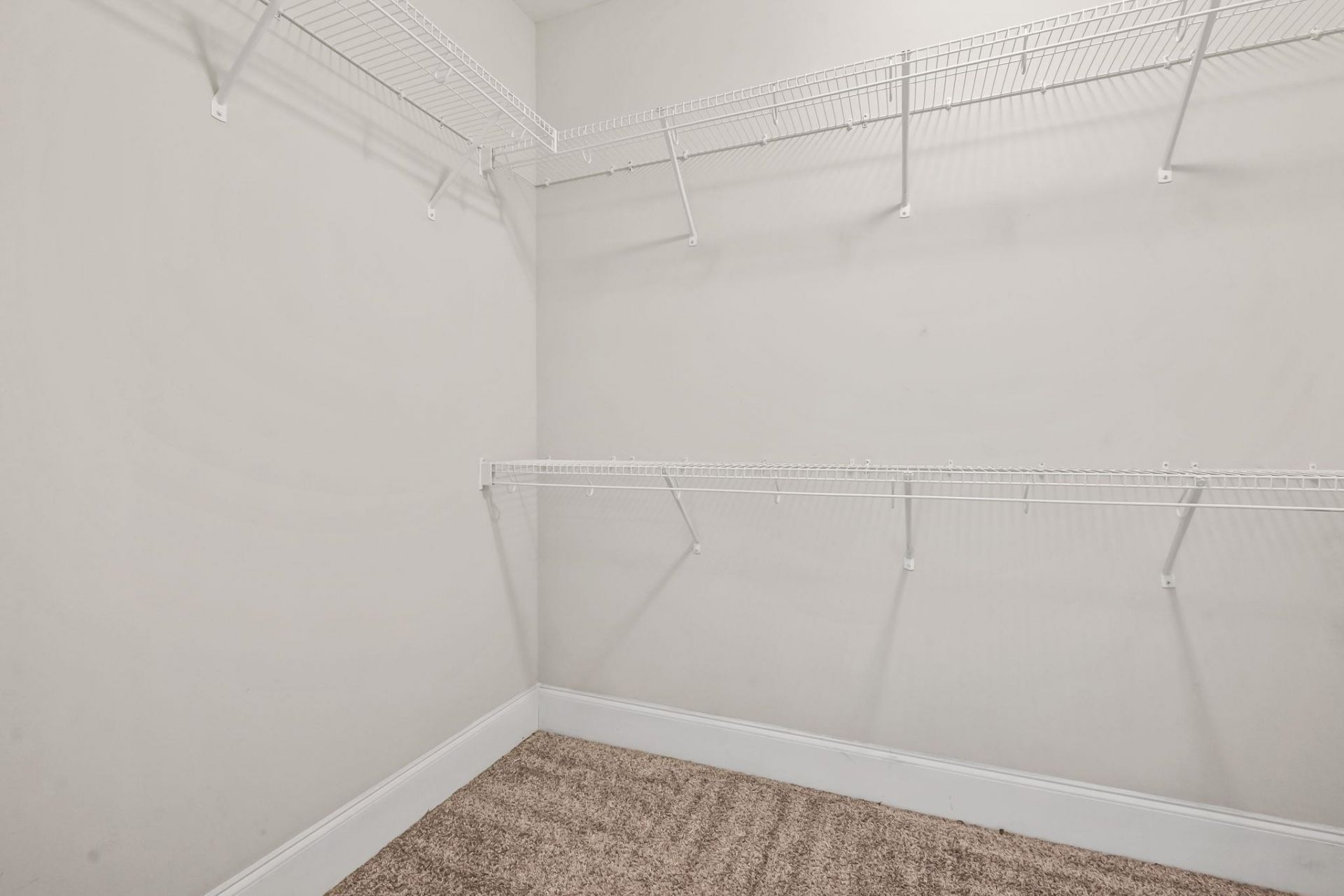 1616 Palmetto Palm Dr. Photo 26
