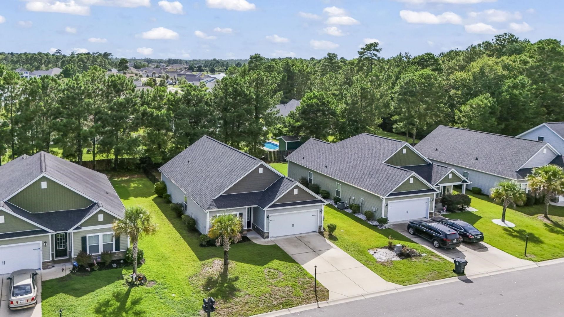 1616 Palmetto Palm Dr. Photo 48