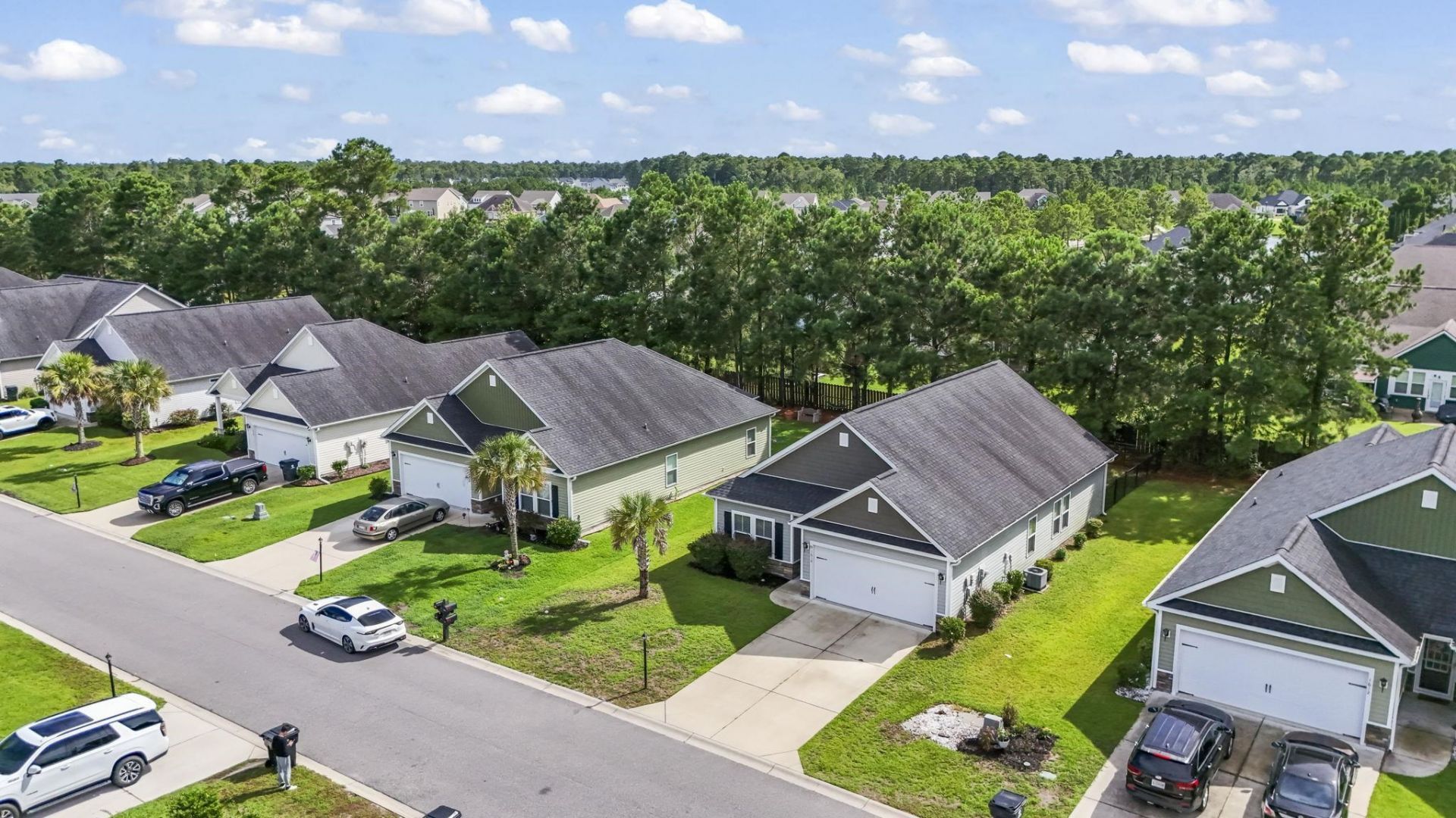 1616 Palmetto Palm Dr. Photo 49