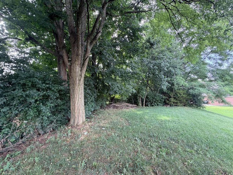 6527 Tall Oaks Drive, Florence, KY 41042 Photo 29