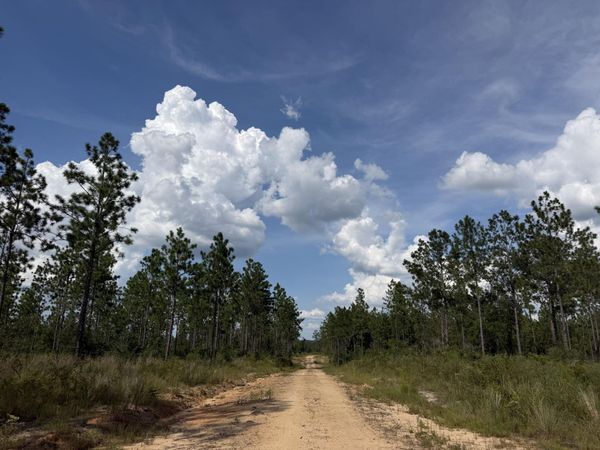 #5 Lawler Rd., Lumberton, MS 39455