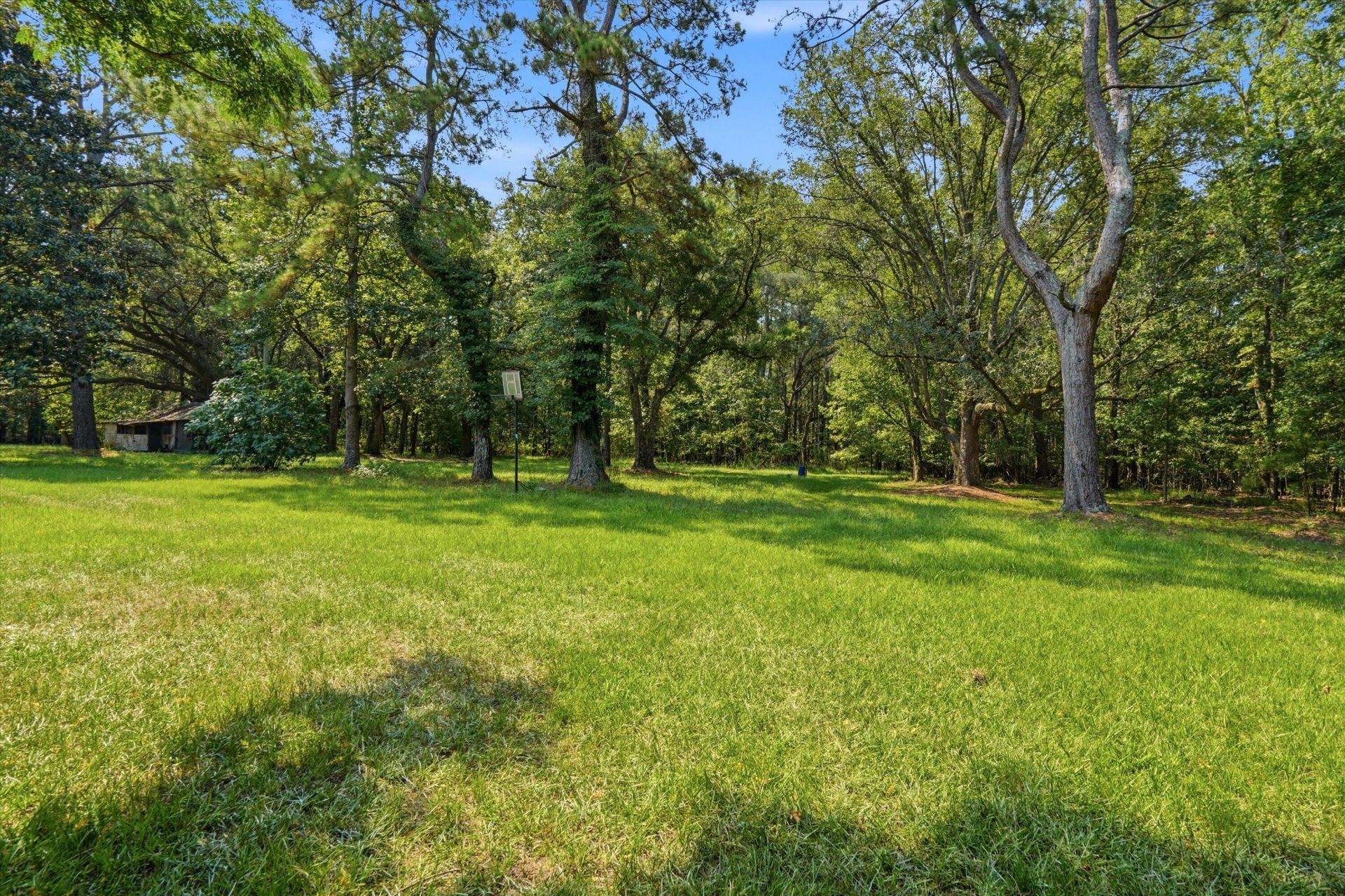 315 Tundra Lane Photo 14