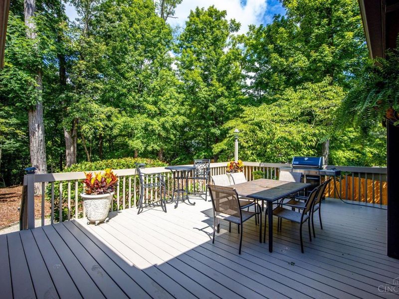 5209 Oakhill Lane, Green Township, OH 45247 Photo 56