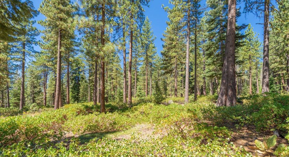 12134 Lamplighter Way, Truckee, CA 96161 Photo
