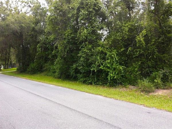 6982 N PALMER WAY , HERNANDO, FL 34442