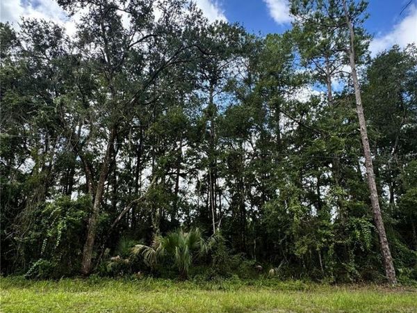 TBD NE 225TH STREET , FORT MC COY, FL 32134