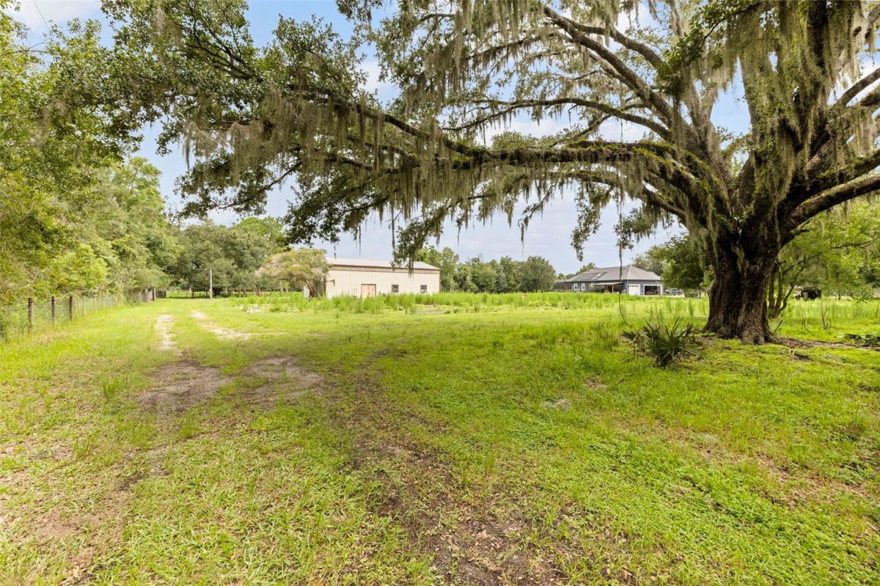 6930 Muck Pond Road, Seffner, FL 33584 Photo