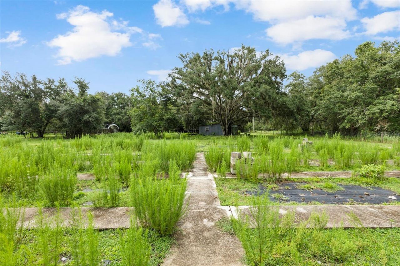 6930 Muck Pond Road, Seffner, FL 33584 Photo